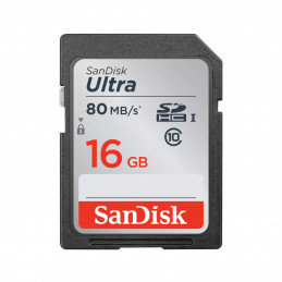 16 GB SanDisk Ultra® SDHC™...